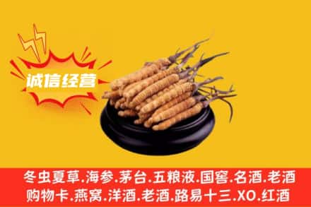 白沙县回收冬虫夏草